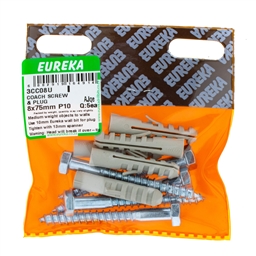 3CC08 - Coach Screw & Plug